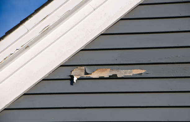 Professional Siding Installation & Repair in Chillicothe, OH